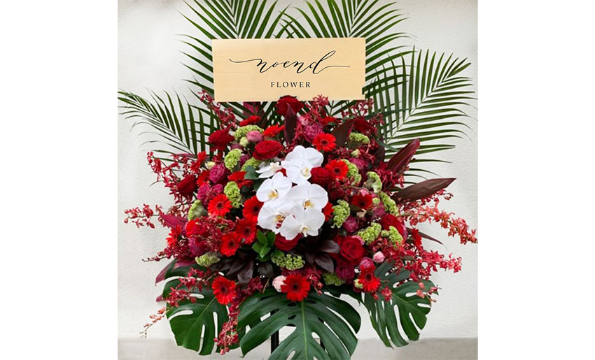noendflower-st028