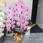 ピンク大輪胡蝶蘭　３本立　武庫之荘花屋　noendflower　配達