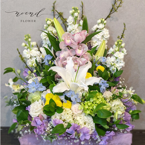 noendflower-ar051